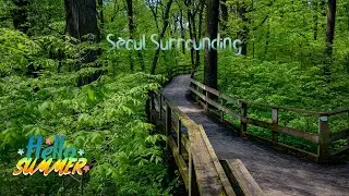 Explore Seoul: Where Every Corner Holds a Story
