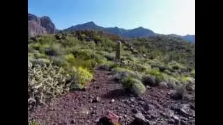 Hike to Mount Ajo via Bull Pasture, Organ Pipe Cactus National Monument 2013