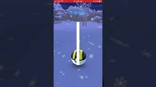 Wild Hundo Cubchoo : Pok&eacute;mon Go