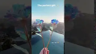 The Galaxy Rose