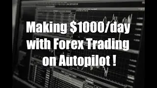 Making $1000/day with Forex Trading on Autopilot !