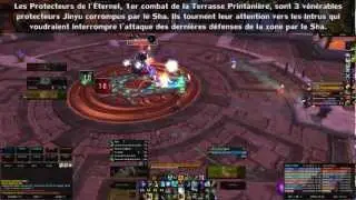 Guide Video &Eacute;lite Protecteurs De L'&Eacute;ternel nm vs Rest In Peace - EU Uldaman (PoV Hunt)