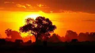 Arriva - African Soul Anthem (Atlantis ITA Remix) [2000]