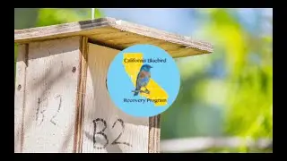 CBRP Training: Introduction to Monitoring