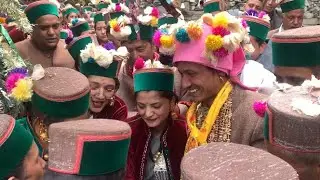 KINNAURI WEEDING SEEMA WEDS VIRVEEN NESANG TO RALI #kinnauri_video #kinnauriculture #wedding