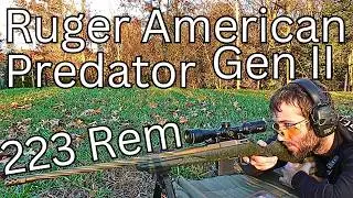 Тестирование точности винтовки Ruger American Predator Gen II 223 Remington 53g Hornady V-Max и п...
