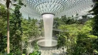 Changi Oasis: Waterfall and Nature Sounds in Singapore's Airport Sanctuary💧🌈✈️