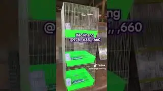 CHUỒNG G&Agrave; 3 TẦNG 70 VU&Ocirc;NG #chuongga #pets #chickencoop #thinhhanh #shorts  #chickencoopdesigns