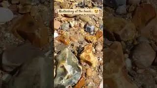 mudlarking on the beach #suffolk #suffolkcoast #seaglass #mudlarking