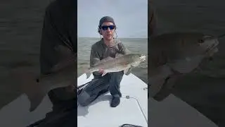 Sight casting Redfish #coastalbrewbaits #newwaterboatworks #arroyocitytexas