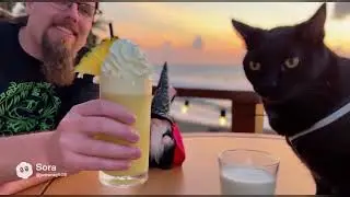 Funny A.I videos part 1 commercials 