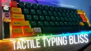 Building a Mechanical Keyboard From Scratch | My experience | Nibble 65% D.I.Y Kit