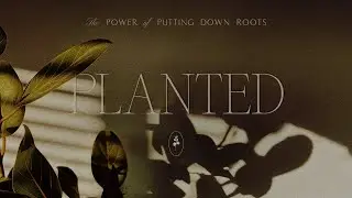 Just Commit - Week 1 - Planted: The Power of Putting Down Roots