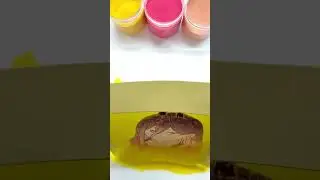 Power Sand Painting ASMR | 帕瓦手工沙畫 2.0