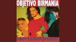 Los Amigos de Mis Amigas Son Mis Amigos (Versión Maxi)