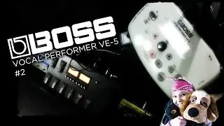Boss VE-5 Вокальные эффекты №2 ЖИВЕМ В ГАРМОНИИ!