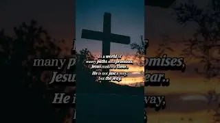 One Path&hellip;One Savior&hearts;️ #GodsPlan #jesus #innerpeace #truth #faith