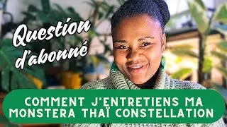 Question d'abonné : COMMENT ENTRETENIR UNE MONSTERA THAÏ CONSTELLATION