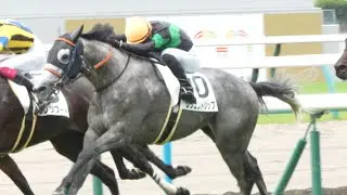 レジェンドシップ　3歳以上1勝クラス　パドック、返し馬、スタート、ゴール