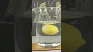 Why do lemons float but limes sink? #shorts