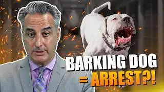 Police & Animal Control at Your Door? What You Need to Know
