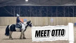 Learning From Different Horses| A Helpers Ride on Otto