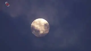 Moonrise - Reed Mathis - Relaxing Music.    #relaxingmusic #instrument