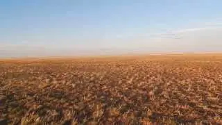 South Gobi Desert