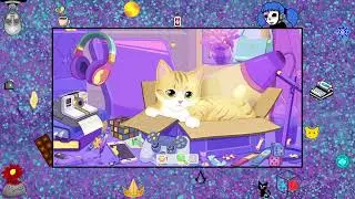100% : Lots of cats - Niveau Bonus