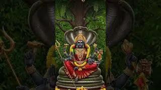 aaj ka divine message today ma kali 💥🌺 #shorts #kali #divine #divinemaashakti