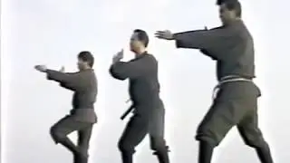 Kamae Gyokko ryu