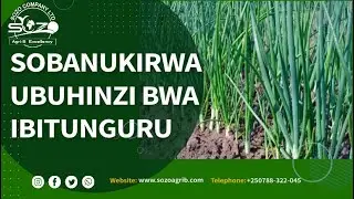 SOBANUKIRWA MUHINZI PART 4: UBUHINZI BW'IBITUNGURU