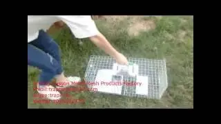 Humane Live Bird Trap &frasl; possum/rabbit  Friendly Cage