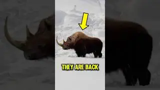 5 вымерших животных, заснятых на камеру 😱