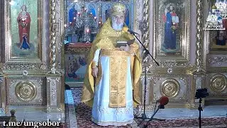 К.П.Лавра - Главна Академія Православія для народа.11.10.2024, прот. Димитрій Сидор