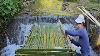 Smart Girl Uses Bamboo to Make an Ancient Fish Trap | Amazing Traditional Fishing 