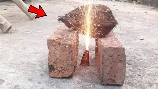 Coconut vs Anar: Kya ye blast hoga? 😱 खतरनाक धमाका हुआ 💥