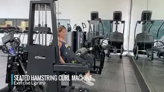 Seated Hamstring Curl Machine