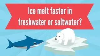 Ice melt faster in fresh or salt water?