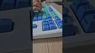 2024 리얼포스 R3TL APC 민트 블루 키압30g 타건음 키보드 소리