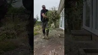 6 hour garden clean up in 60 seconds👨🏽&zwj;🌾⚠️Flash Warning⚠️#satisfying #gardening #timelapse