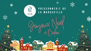 Poissonnerie Les 2B - Balma 31 - No&euml;l 2023
