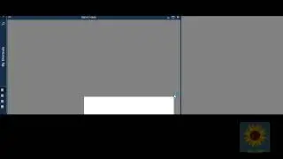 17. Downloading Credit Card Transactions