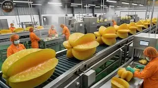 Inside A Modern Starfruit Factory: From Raw Starfruits To Clear Tropical Syrup (Full Process)