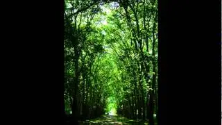 Dolphin&acute;s Mind - The Flow (Deep) (extended vocal club mix)