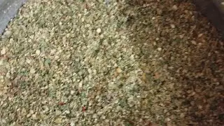 Karuvepillai poodu podi/three in powder/பூண்டு கறிவேப்பிலை பொடி/healthy recipe/recipes in tamil