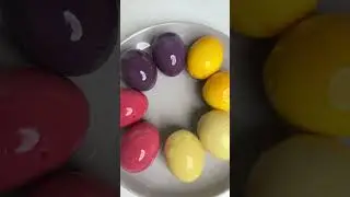 Pet-friendly natural egg dyes #vng #easteregg #petlover