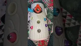 MOMMY THANKS FOR THE FOOD SAYS BABY BIRD #viralshort #asmr #youtubeshorts #woodpeckerbird