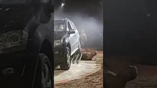 Extreme drive over with car🤬 #circus #strongman #extreme #dangerous #mortal #wow #fitness #strong