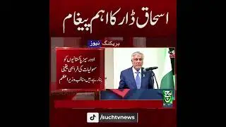 Foreign Minister Ishaq Dar's Important Statement on Overseas Pakistanis | Breaking News | Such News